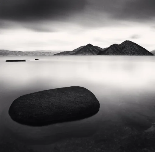 Minimalist Textured High Contrast Moody Nature