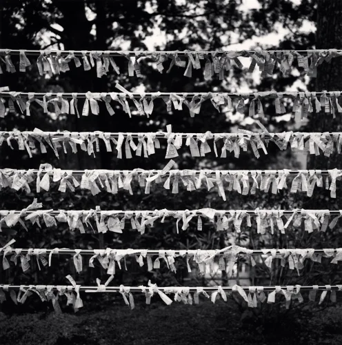 Minimalist Textured High Contrast Mysterious Nature