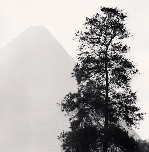 Minimalist Tree Mountain High Contrast Nature