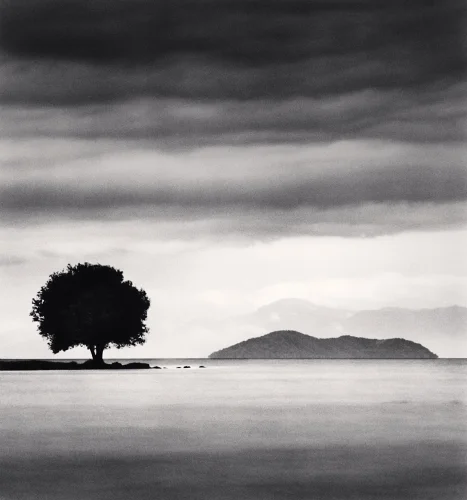 Minimalist Tree Silhouette Dramatic Atmospheric Seascape