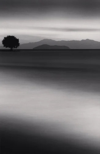 Minimalist Tree Silhouette Mountain Range High Contrast Moody