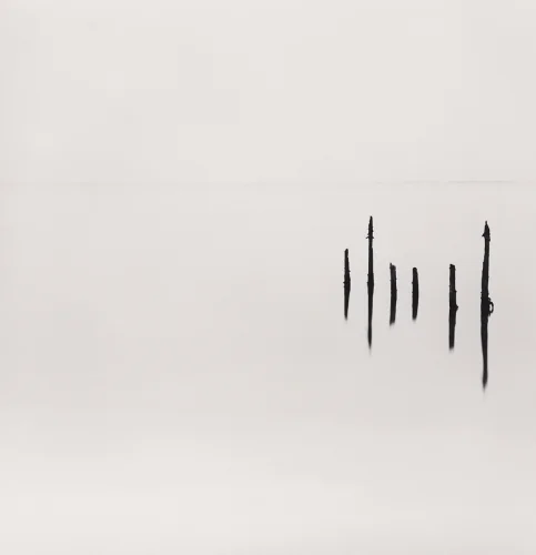 Minimalist Vertical Lines High Contrast Mysterious