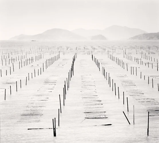 Minimalist Water Poles Lines Symmetrical Calm