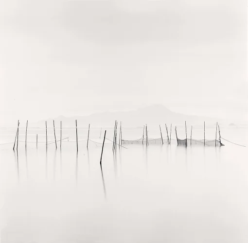 Minimalist Water Poles Reflections Calm Monochrome