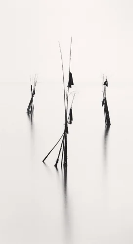 Minimalist Water Reflections Dramatic Mysterious Nature
