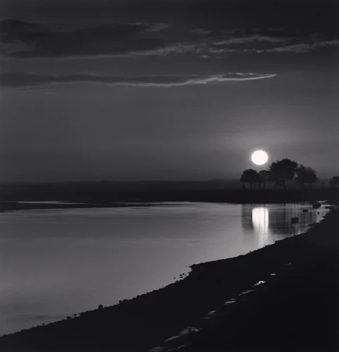 Moonlit Landscape Reflective Water Silhouetted Trees Dramatic High Contrast Mysterious