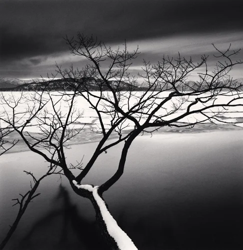 Nature Dramatic High Contrast Minimalist Mysterious Atmospheric