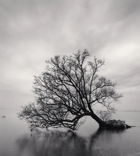 Nature Dramatic High Contrast Moody Atmospheric