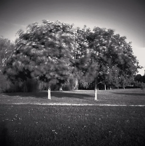 Nature Dramatic High Contrast Textured Atmospheric Timeless