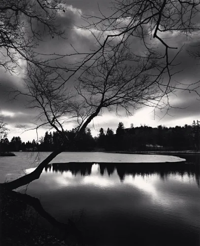 Nature Dramatic High Contrast Moody Atmospheric