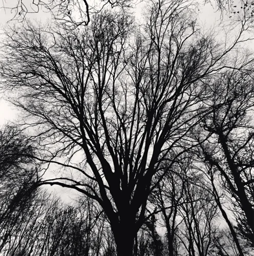 Nature Dramatic High Contrast Textured Atmospheric