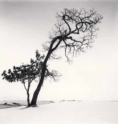 Nature Dramatic High Contrast Minimalist Mysterious