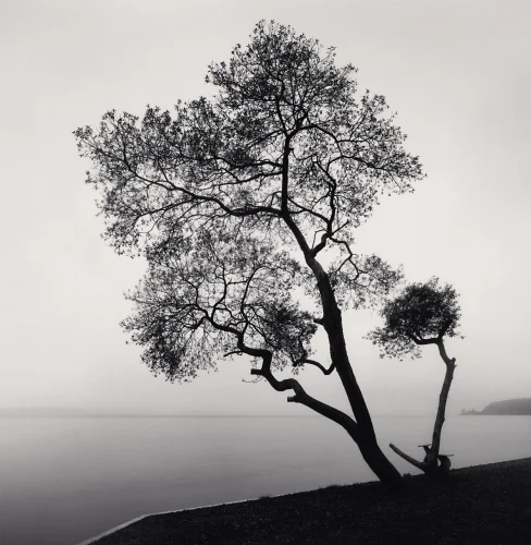 Nature Dramatic High Contrast Moody Atmospheric