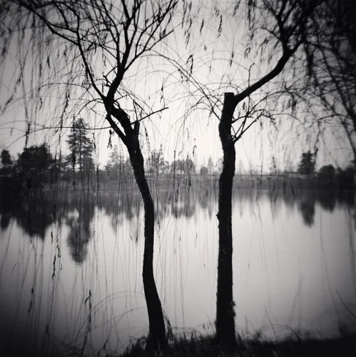 Nature Dramatic High Contrast Moody Atmospheric