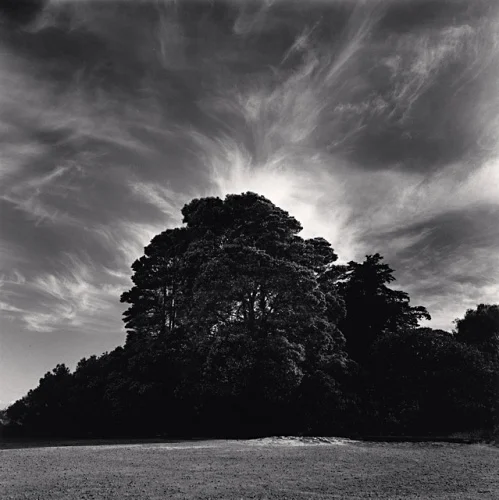 Nature Dramatic High Contrast Textured Mysterious Atmospheric