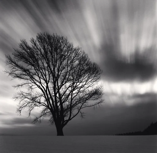 Nature Dramatic High Contrast Moody Atmospheric