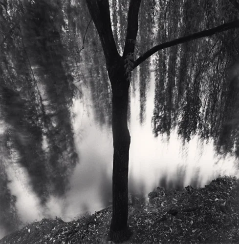Nature Dramatic Textured High Contrast Mysterious Atmospheric