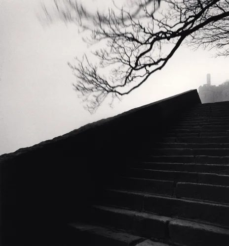 Nature Dramatic Textured High Contrast Mysterious Atmospheric