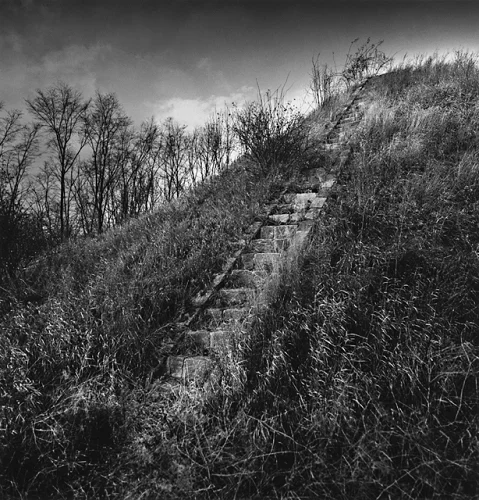 Nature Dramatic Textured High Contrast Mysterious Atmospheric