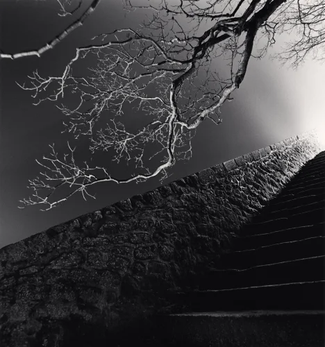 Nature Dramatic Textured High Contrast Mysterious