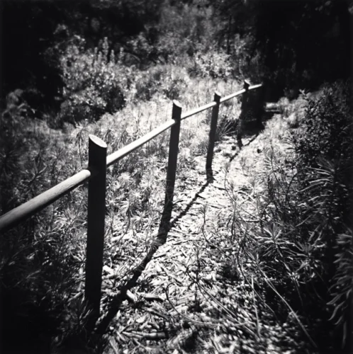 Nature Dramatic Textured High Contrast Mysterious