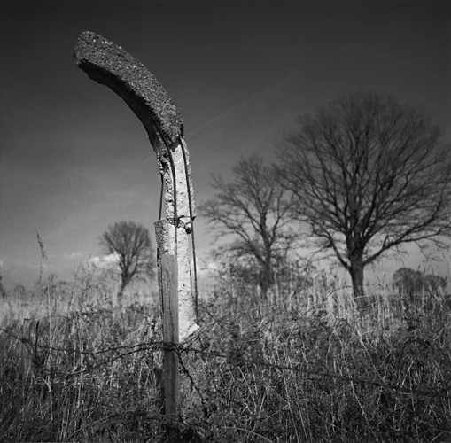 Nature Dramatic Textured High Contrast Mysterious