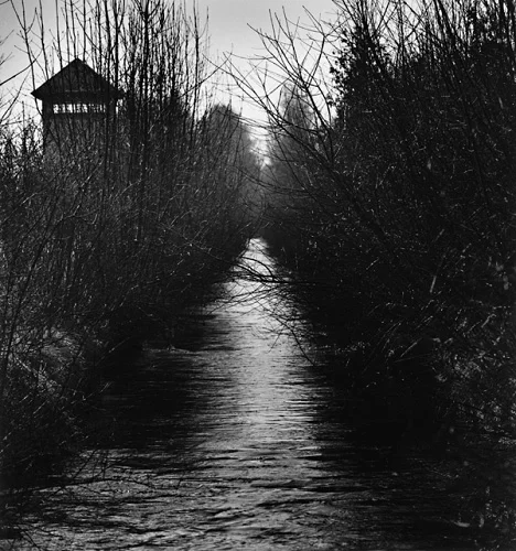 Nature Dramatic Textured High Contrast Mysterious