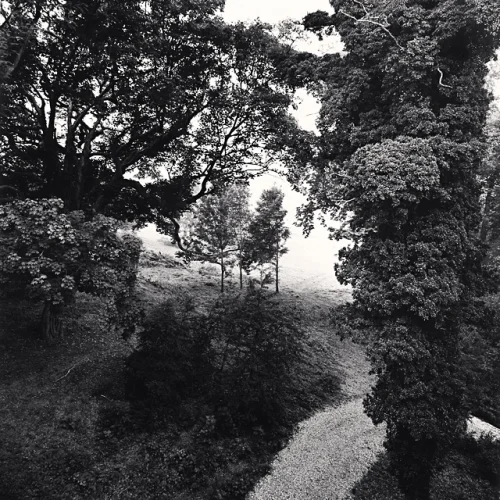 Nature Dramatic Textured High Contrast Mysterious Atmospheric