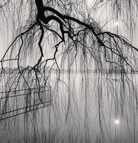 Nature Dramatic Textured High Contrast Mysterious Atmospheric