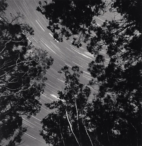 Nature High Contrast Dramatic Atmospheric Timeless