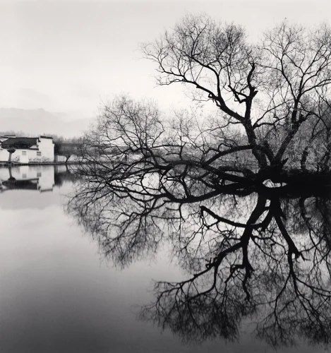 Nature High Contrast Minimalist Serene Mysterious