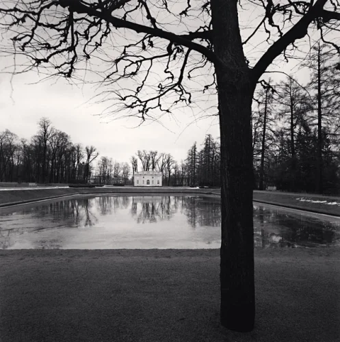 Nature Reflective Minimalist High Contrast Mysterious