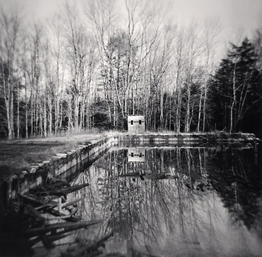 Nature Reflective Minimalist High Contrast Mysterious