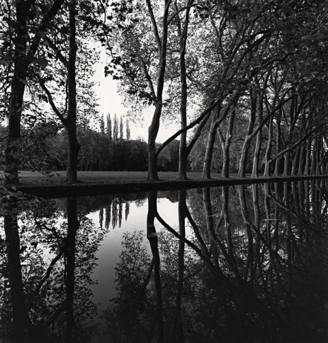 Nature Reflective Symmetrical Dramatic High Contrast Moody