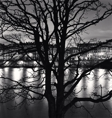 Nature Silhouetted Tree Dramatic High Contrast Mysterious