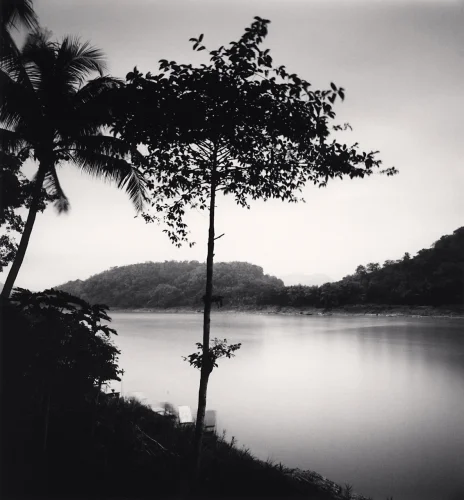 Nature Silhouetted Trees Water Reflective Dramatic Mysterious