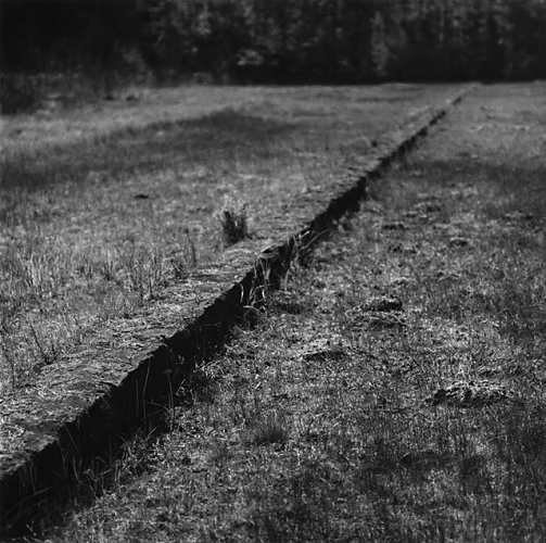 Nature Textured High Contrast Mysterious Atmospheric