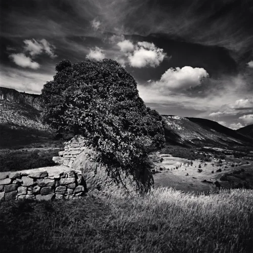 Nature Textured High Contrast Dramatic Atmospheric Timeless