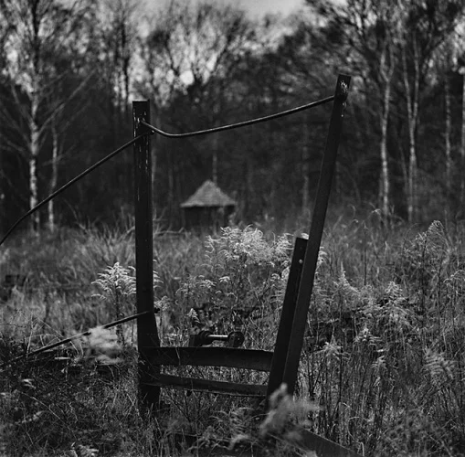 Nature Textured High Contrast Mysterious Atmospheric
