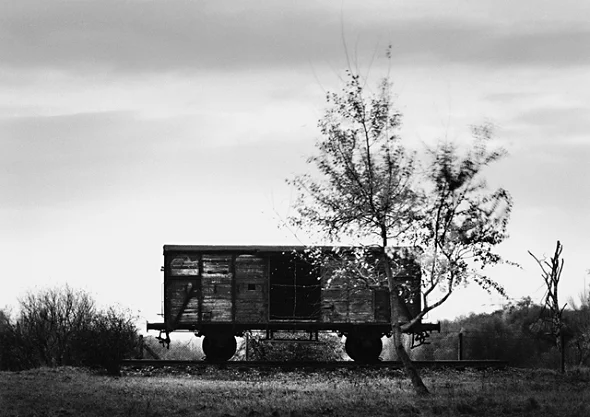 Nature Textured High Contrast Mysterious Atmospheric