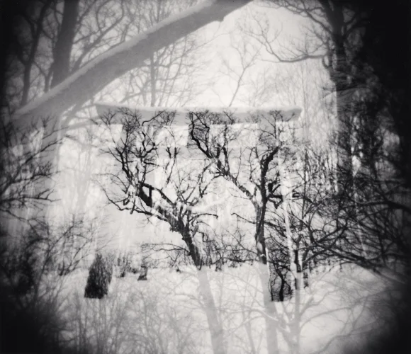 Nature Textured High Contrast Mysterious Atmospheric