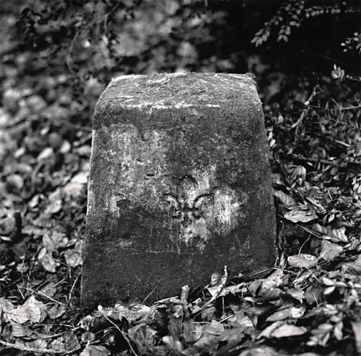Nature Textured High Contrast Mysterious Monument