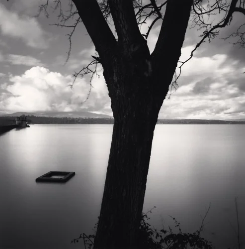 Nature Tree Silhouette Water Clouds Dramatic Mysterious