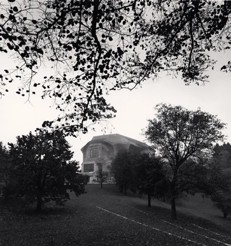 Nature Trees Building Dramatic High Contrast Mysterious