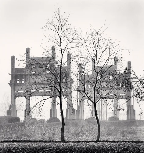 Nature Trees Dramatic High Contrast Atmospheric Monument