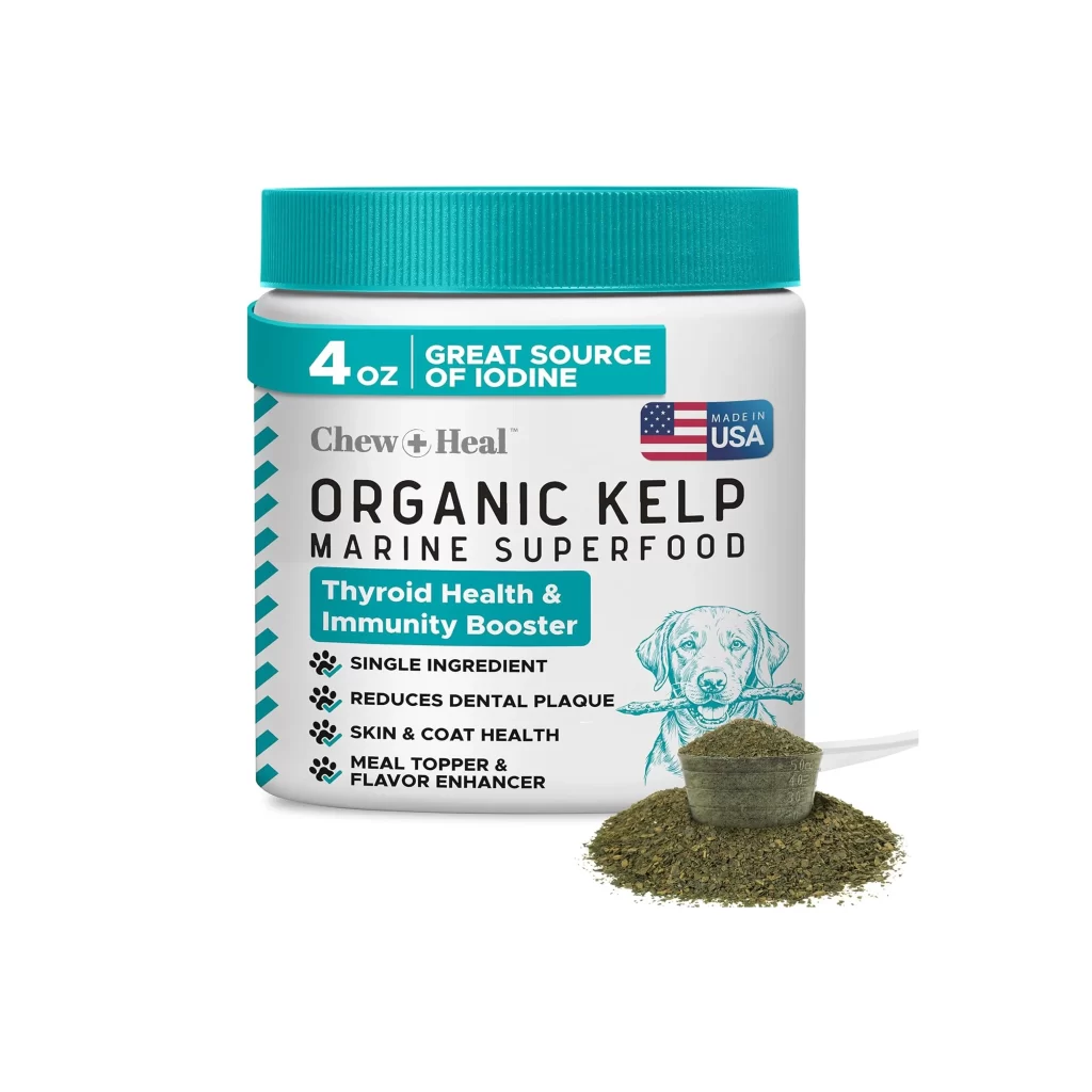 Organic Kelp Marine Superfood Thyroid Health