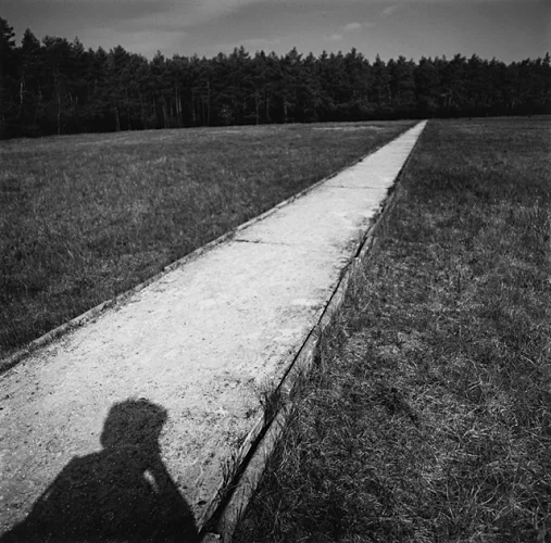 Pathway Shadow Minimalist High Contrast Mysterious Nature