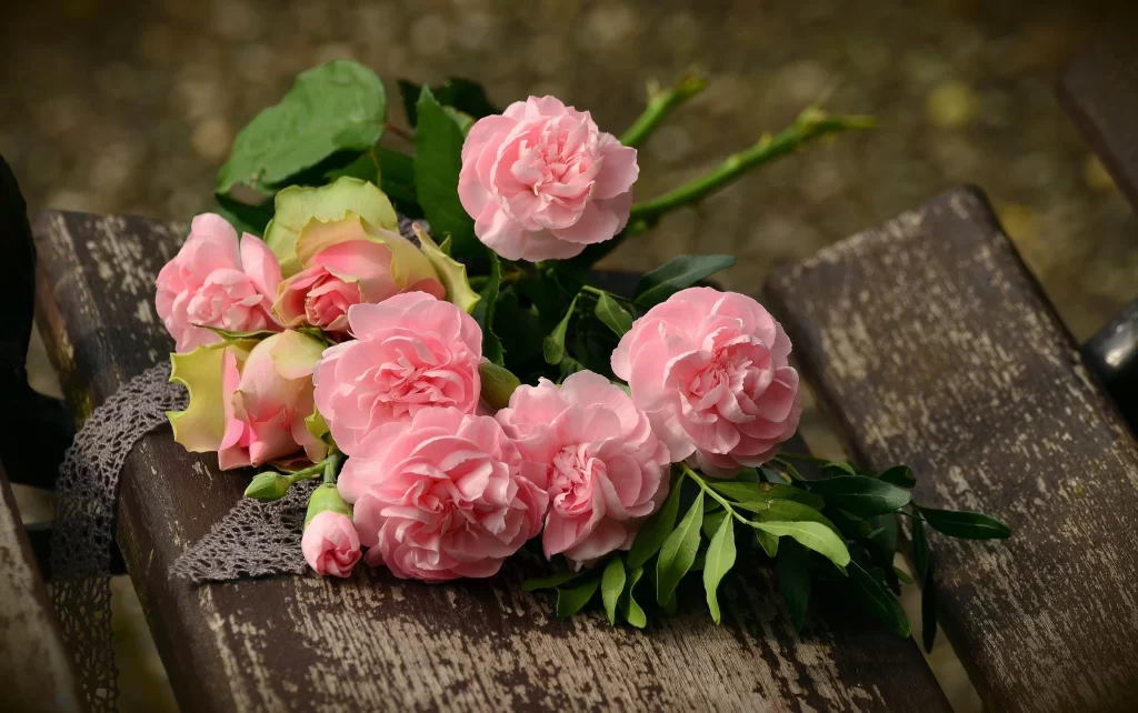 Pink Carnation Petals Green Leaves Rustic Bench