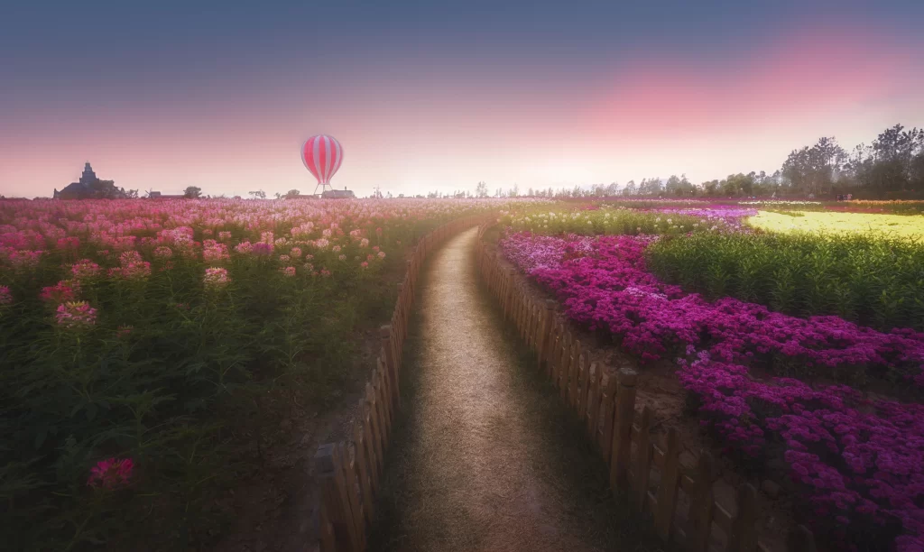 Pink Purple Flowers Pathway HotAirBalloon