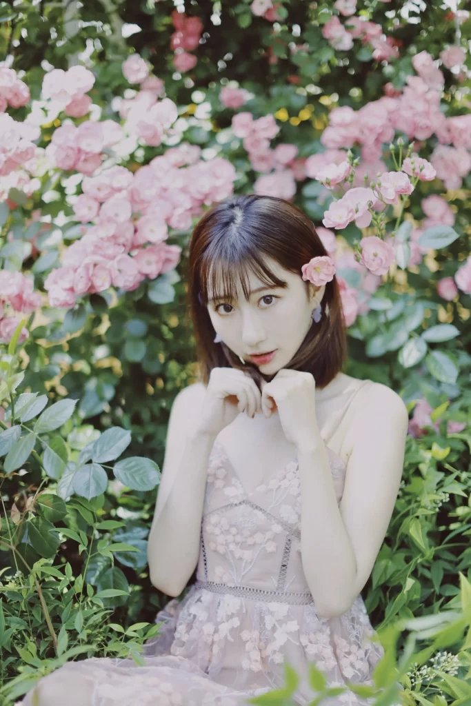 Pink Rose Petals Bloom gray Garden